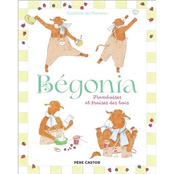 Bégonia – Framboises et fraises de&nbsp;bois